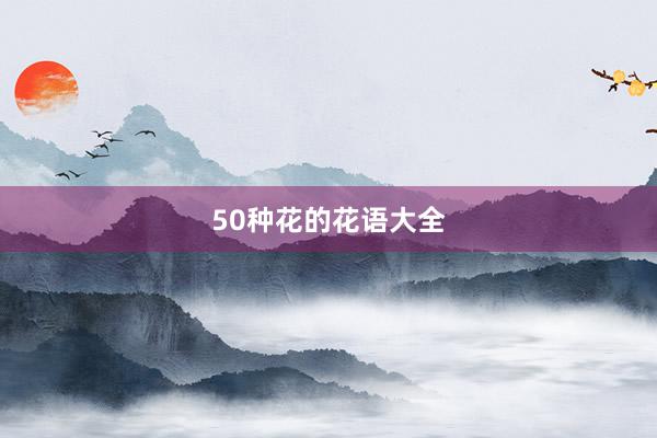 50种花的花语大全