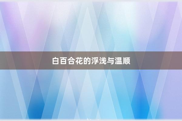 白百合花的浮浅与温顺