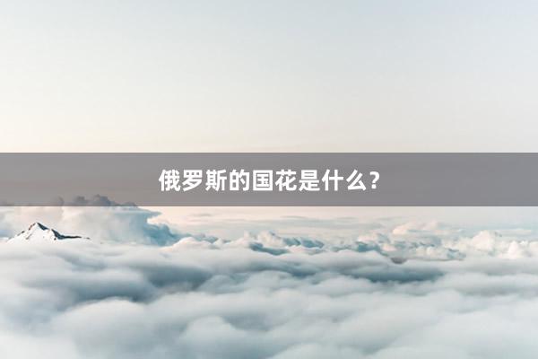 俄罗斯的国花是什么？